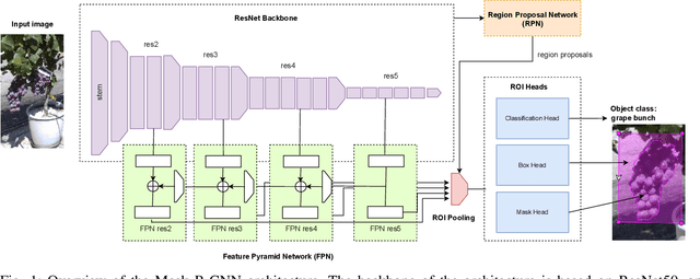 Figure 1 for Surgical fine-tuning for Grape Bunch Segmentation under Visual Domain Shifts