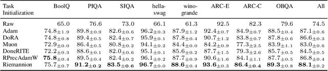 Figure 1 for RiemannLoRA: A Unified Riemannian Framework for Ambiguity-Free LoRA Optimization