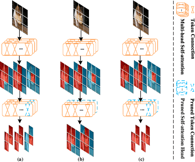 Figure 1 for Attention Map Guided Transformer Pruning for Edge Device
