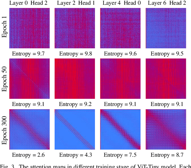 Figure 3 for Attention Map Guided Transformer Pruning for Edge Device