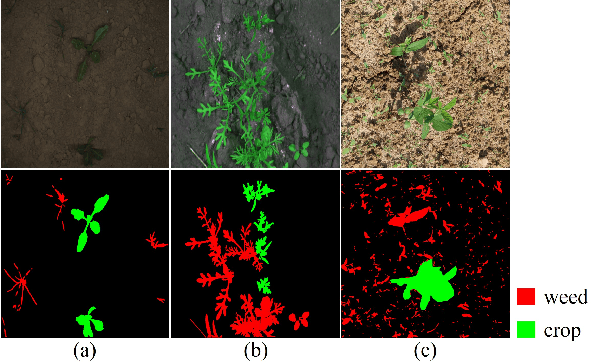 Figure 4 for CWD30: A Comprehensive and Holistic Dataset for Crop Weed Recognition in Precision Agriculture