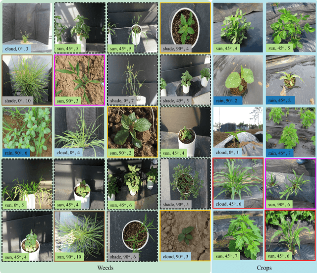Figure 1 for CWD30: A Comprehensive and Holistic Dataset for Crop Weed Recognition in Precision Agriculture