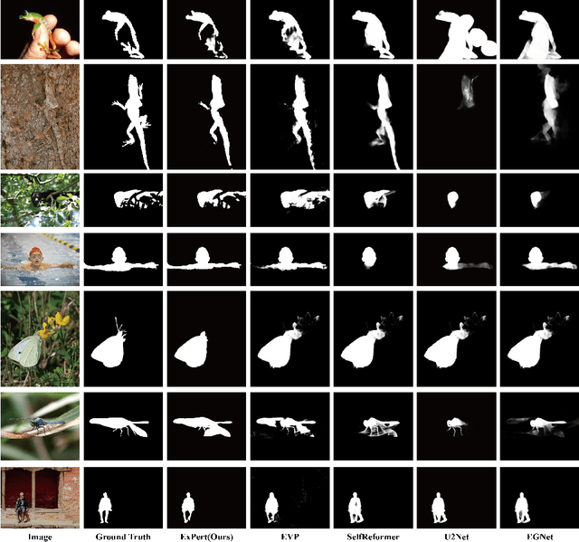 Figure 4 for External Prompt Features Enhanced Parameter-efficient Fine-tuning for Salient Object Detection