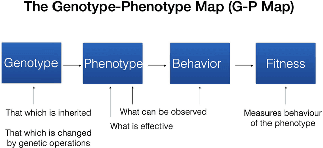 Figure 2 for On The Nature Of The Phenotype In Tree Genetic Programming