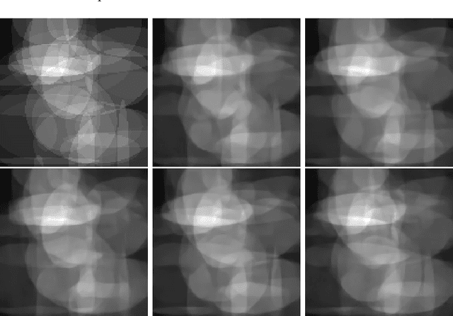 Figure 3 for Learned iterative networks: An operator learning perspective