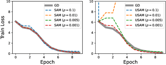 Figure 1 for The Crucial Role of Normalization in Sharpness-Aware Minimization