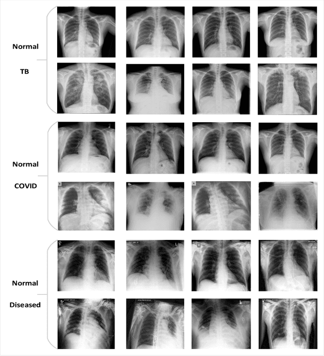 Figure 3 for TagGAN: A Generative Model for Data Tagging