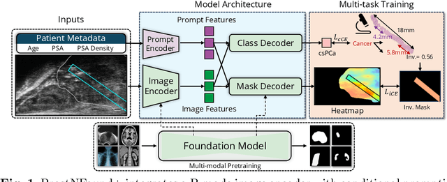 Figure 1 for ProstNFound+: A Prospective Study using Medical Foundation Models for Prostate Cancer Detection