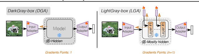 Figure 2 for Task-Specific Adaptation with Restricted Model Access