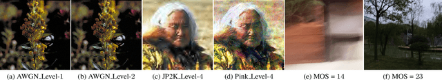Figure 1 for VQualA 2025 Challenge on Visual Quality Comparison for Large Multimodal Models: Methods and Results