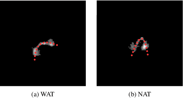 Figure 1 for RGC-Bent: A Novel Dataset for Bent Radio Galaxy Classification