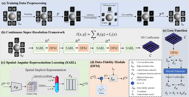 Figure 1 for Spatial-Angular Representation Learning for High-Fidelity Continuous Super-Resolution in Diffusion MRI