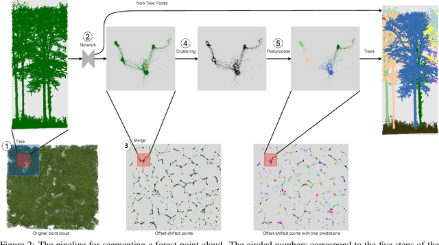 Figure 3 for TreeLearn: A Comprehensive Deep Learning Method for Segmenting Individual Trees from Forest Point Clouds
