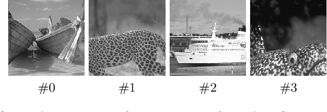 Figure 3 for Whiteness-based bilevel estimation of weighted TV parameter maps for image denoising