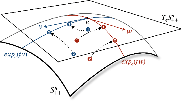 Figure 4 for SPD Learning for Covariance-Based Neuroimaging Analysis: Perspectives, Methods, and Challenges