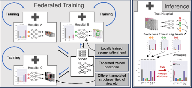 Figure 1 for FUNAvg: Federated Uncertainty Weighted Averaging for Datasets with Diverse Labels