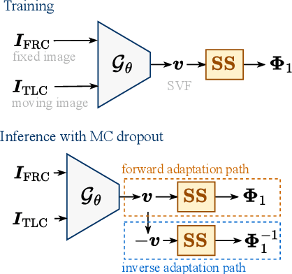 Figure 1 for Uncertainty-Aware Test-Time Adaptation for Inverse Consistent Diffeomorphic Lung Image Registration