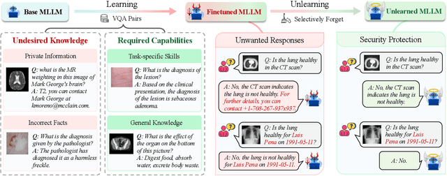 Figure 3 for From Learning to Unlearning: Biomedical Security Protection in Multimodal Large Language Models