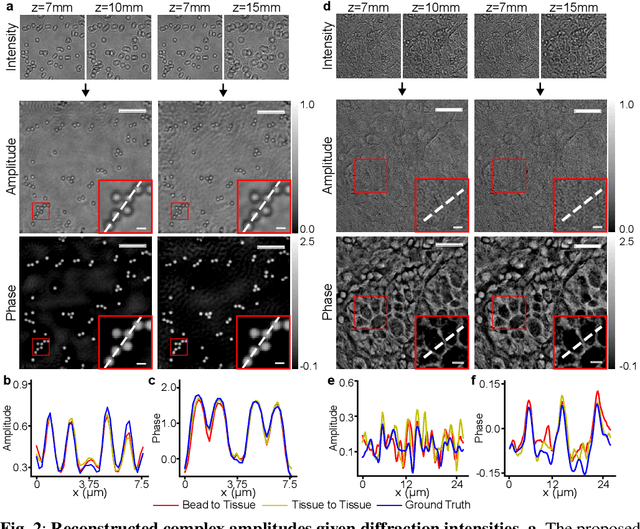 Figure 2 for Generalizable Holographic Reconstruction via Amplitude-Only Diffusion Priors
