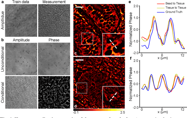 Figure 4 for Generalizable Holographic Reconstruction via Amplitude-Only Diffusion Priors