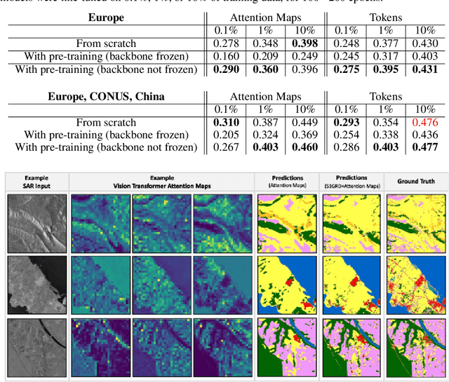 Figure 2 for Exploring DINO: Emergent Properties and Limitations for Synthetic Aperture Radar Imagery