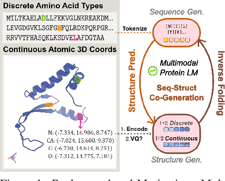 Figure 1 for HD-Prot: A Protein Language Model for Joint Sequence-Structure Modeling with Continuous Structure Tokens