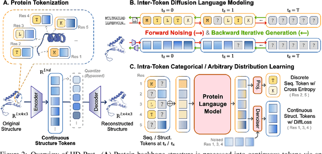 Figure 3 for HD-Prot: A Protein Language Model for Joint Sequence-Structure Modeling with Continuous Structure Tokens