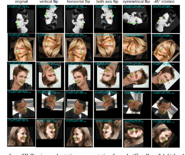 Figure 1 for Full-range Head Pose Geometric Data Augmentations