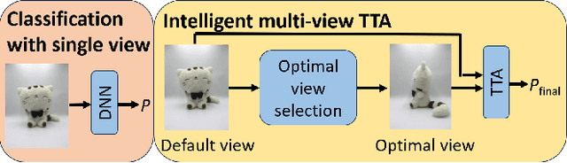 Figure 1 for Intelligent Multi-View Test Time Augmentation