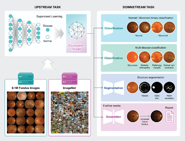 Figure 1 for A Disease-Specific Foundation Model Using Over 100K Fundus Images: Release and Validation for Abnormality and Multi-Disease Classification on Downstream Tasks