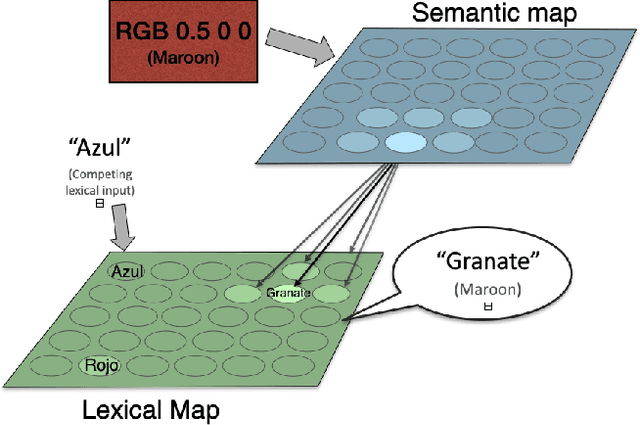 Figure 1 for How the Stroop Effect Arises from Optimal Response Times in Laterally Connected Self-Organizing Maps