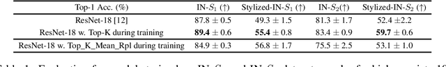 Figure 2 for Emergence of Shape Bias in Convolutional Neural Networks through Activation Sparsity