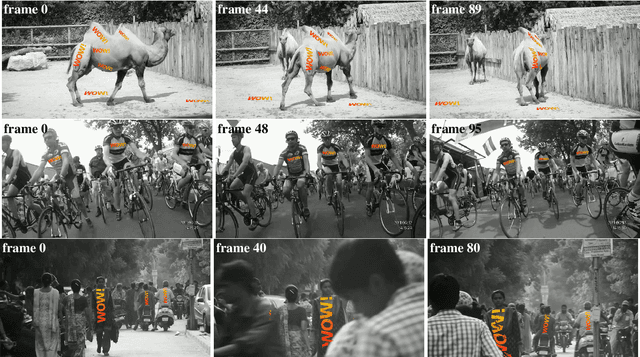 Figure 3 for MFT: Long-Term Tracking of Every Pixel