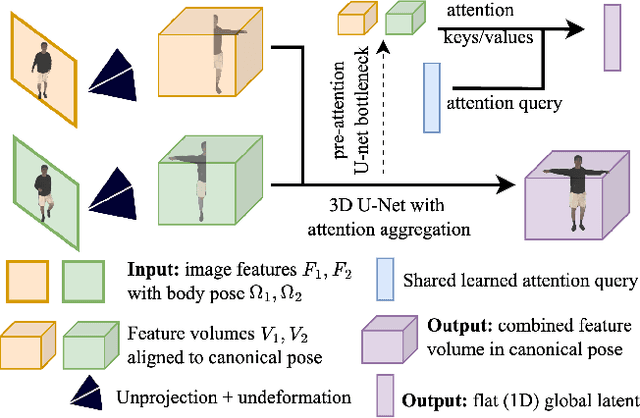 Figure 4 for HumMorph: Generalized Dynamic Human Neural Fields from Few Views