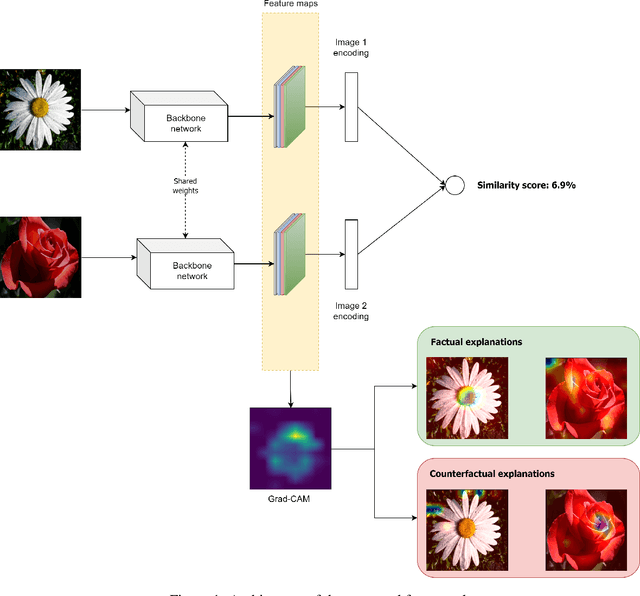 Figure 1 for Explainable Image Similarity: Integrating Siamese Networks and Grad-CAM