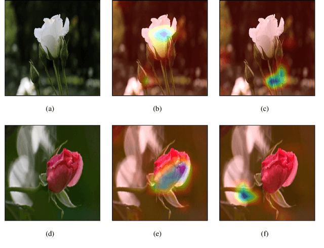 Figure 3 for Explainable Image Similarity: Integrating Siamese Networks and Grad-CAM