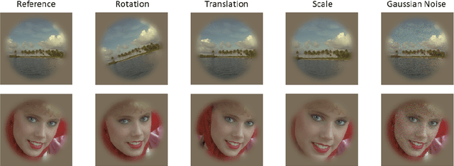 Figure 2 for RAID-Database: human Responses to Affine Image Distortions