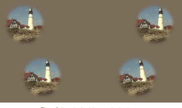 Figure 3 for RAID-Database: human Responses to Affine Image Distortions