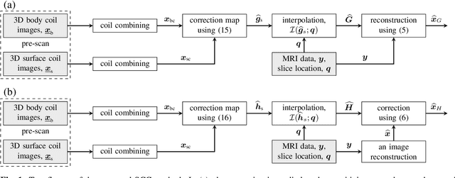 Figure 1 for Surface Coil Intensity Correction for MRI