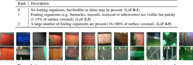Figure 2 for An interpretable approach to automating the assessment of biofouling in video footage