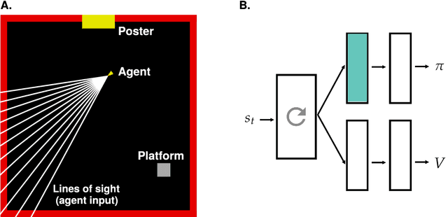 Figure 1 for Investigating Navigation Strategies in the Morris Water Maze through Deep Reinforcement Learning