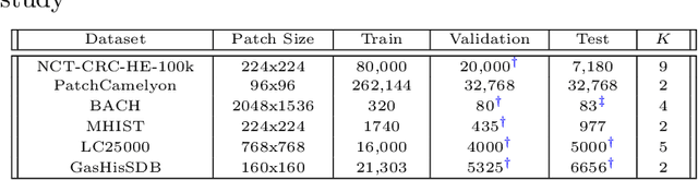 Figure 1 for Contrastive-Based Deep Embeddings for Label Noise-Resilient Histopathology Image Classification