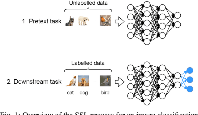 Figure 1 for Towards evolution of Deep Neural Networks through contrastive Self-Supervised learning
