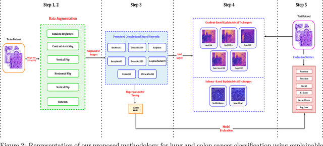 Figure 3 for Exploring Explainable AI Techniques for Improved Interpretability in Lung and Colon Cancer Classification