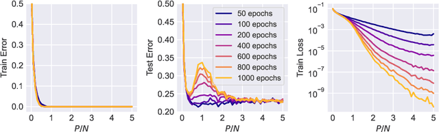 Figure 4 for Understanding the Role of Optimization in Double Descent