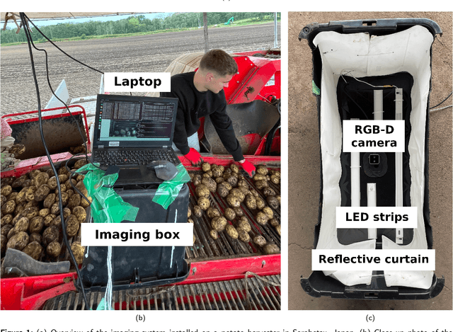Figure 1 for High-throughput 3D shape completion of potato tubers on a harvester