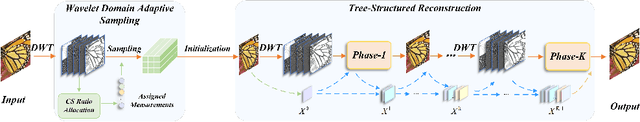 Figure 1 for WTDUN: Wavelet Tree-Structured Sampling and Deep Unfolding Network for Image Compressed Sensing