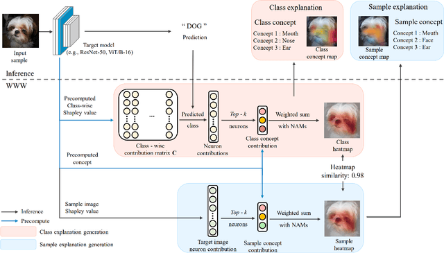 Figure 3 for WWW: A Unified Framework for Explaining What, Where and Why of Neural Networks by Interpretation of Neuron Concepts