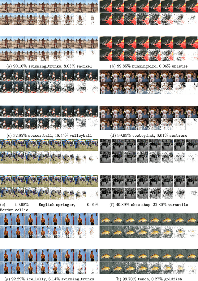 Figure 1 for When saliency goes off on a tangent: Interpreting Deep Neural Networks with nonlinear saliency maps