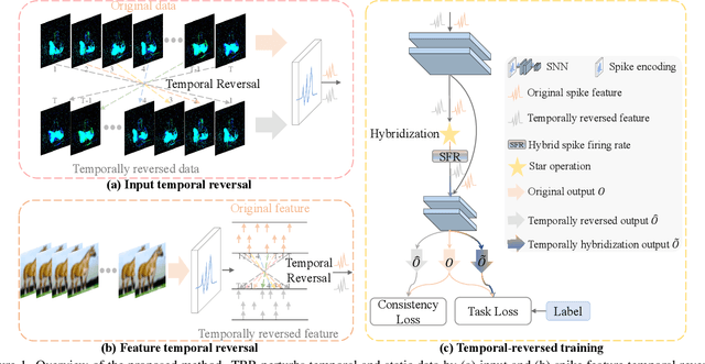 Figure 1 for Temporal Reversed Training for Spiking Neural Networks with Generalized Spatio-Temporal Representation